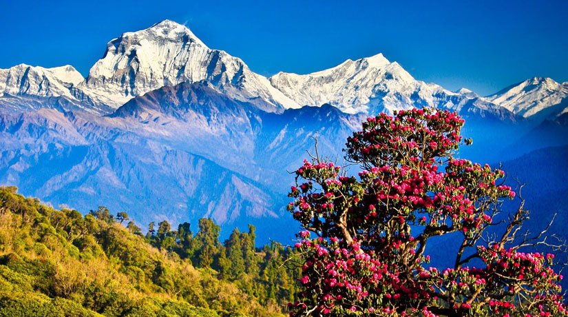 Nepal
