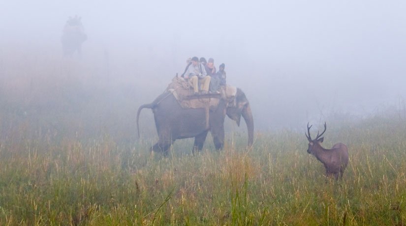 Nainital-Ranikhet-Corbett
