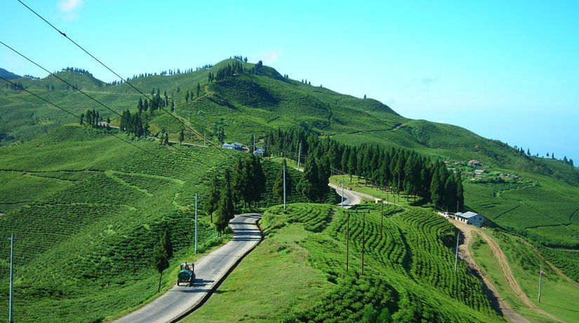 Kalimpong - Gangtok - Pelling - Darjeeling