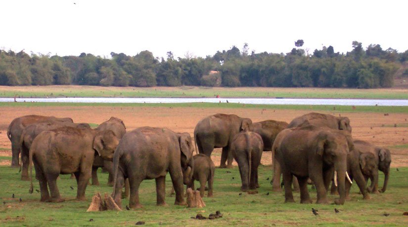 Karnataka - Bangalore - Mysore - Ooty - Kodaikanal