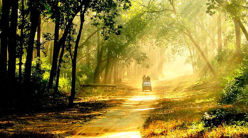 Nainital-Ranikhet-Corbett