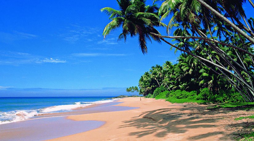 Goa