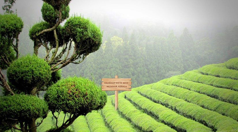 Kovalam - Kumarakkom - Thekkady - Munnar
