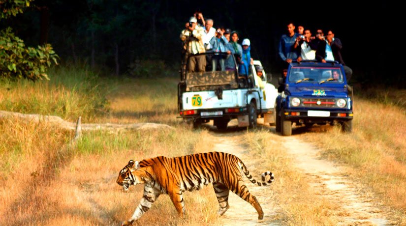 Nainital-Ranikhet-Corbett