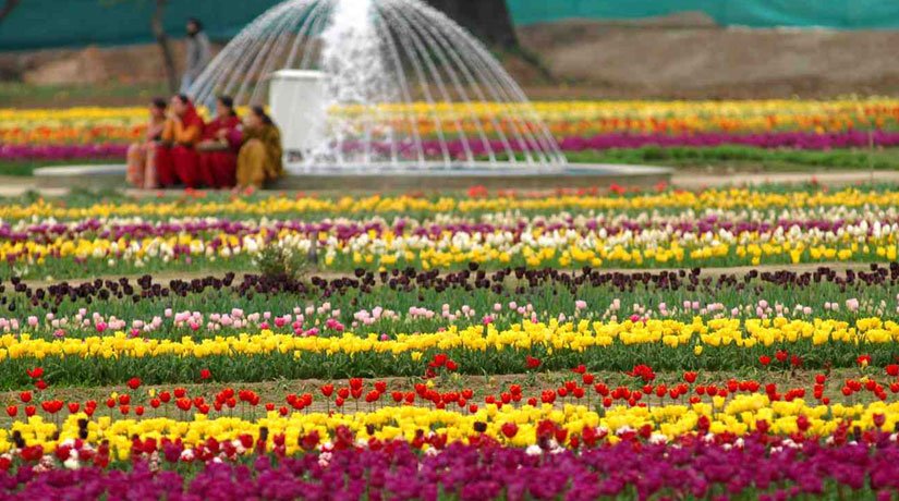 Beautiful Kashmir